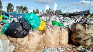 Discovery of a waste picker community