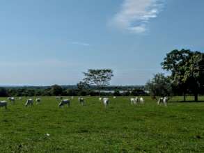 Brazil landscape