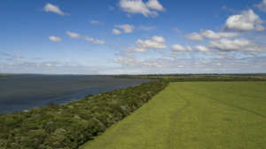 A view of one of the forest corridors (Photo: IPE)