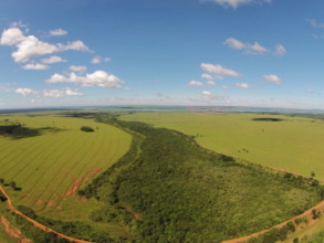 Bazilian land area seen by drone