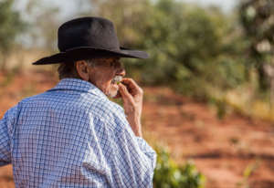 Edmondo Alves, farmer, at the planting site