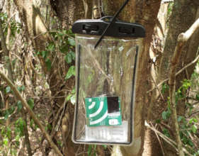 Audio recorders will identify fauna in our sites