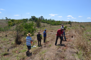 Landless farmers planting on the San Antonia site