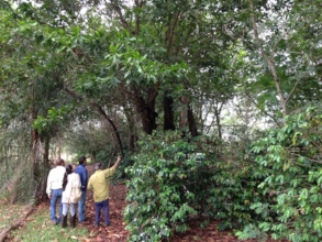 Researchers visit agroforestry sites