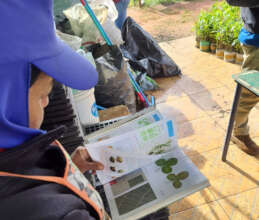 Plant nursery species identification