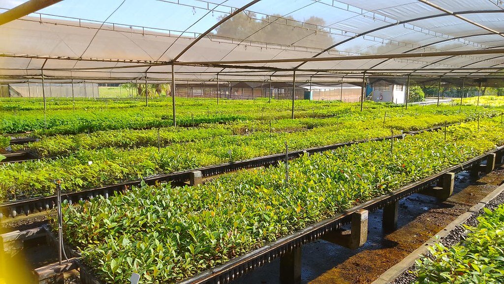 The Wildlife Corridors Program