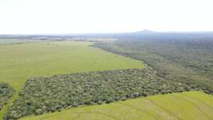 Wildlife corridors in the making