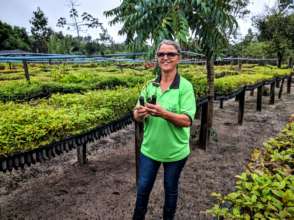 Community seedling nursery