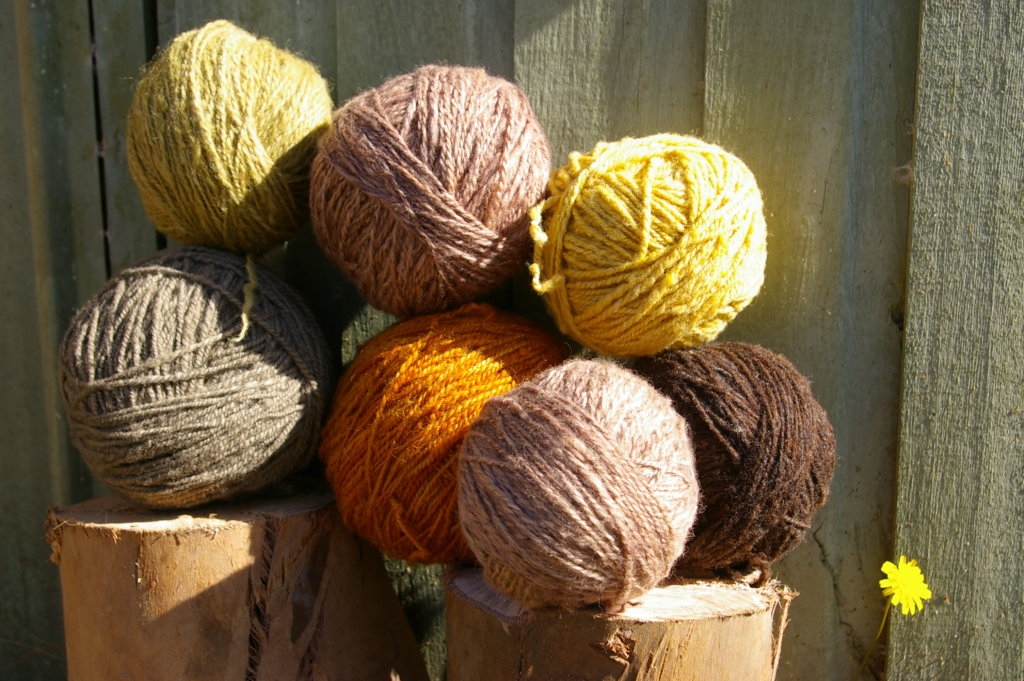 Textile Skills for Mapuche Women in Chile