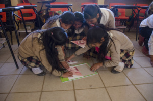 Girls learning about sexual reproduction