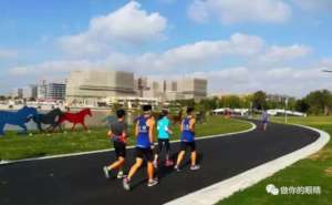 Weekly Running Activity