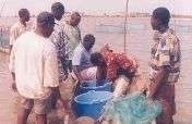 Sustainable Aquaculture for Subsistence Fisheries