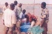 Sustainable Aquaculture for Subsistence Fisheries