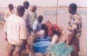 Sustainable Aquaculture for Subsistence Fisheries