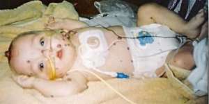 Sammy At Two Years Old