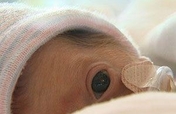 Help America's Premature Foster Care Infants !