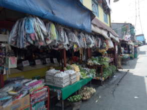 Business Scoping  for  LSEED