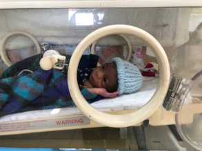 One of our incubator babies.