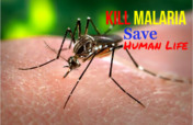 Give Mosquito Net & Protect Life from Malaria