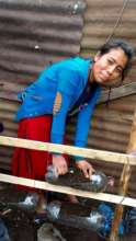 Girl Gardens raise vegetables for scholarships