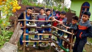 organic bottle vegetable garden