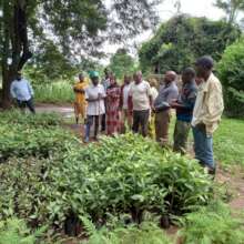 Inspections at the farms