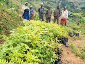 HeroTREEs members at their nursery.