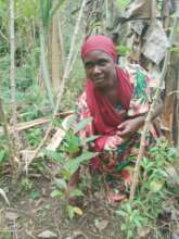 Amina Shabani, From Hapa Kazi Tu, Kibundi