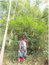Bi on her tree farm in Ruvuma
