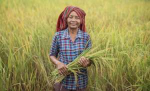 Minefields to Ricefields