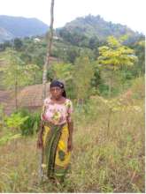 Dorice on her tree farm