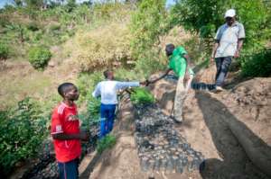 Farmers working hard