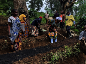Climate resilient farming in Mgeta