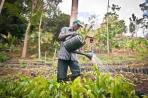 Abdalla Watering the Seeds