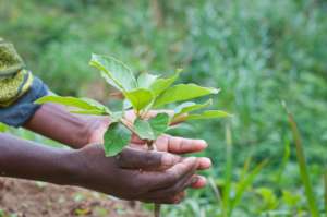 The future is in your hands.