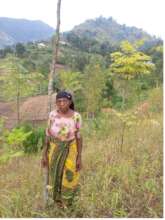 Dorice on her tree farm