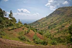 The Uluguru Mountains where trees are planted.