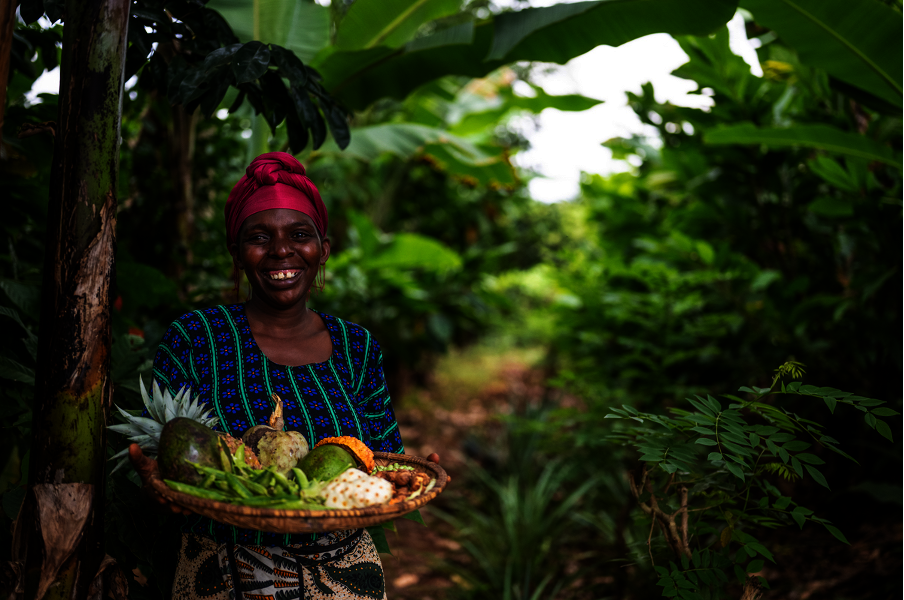HeroTREE farmer, Devota