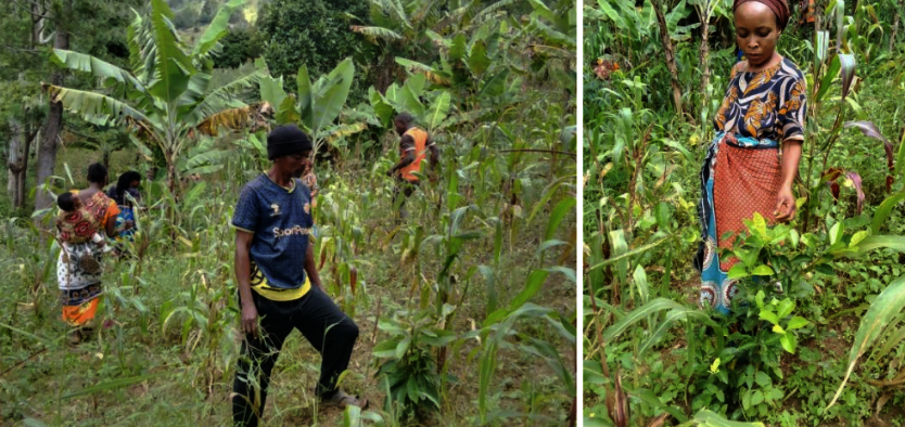 Trainer Mzee Pius Paulin with Farmers