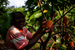 Emmanuel with his crops
