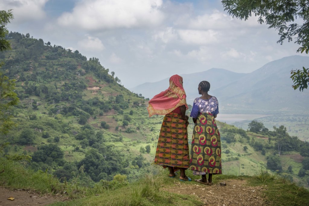 APOPO HeroTREEs - a Climate-Smart Solution