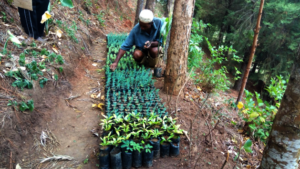 HeroFARMER: Abdallah managing his nursery