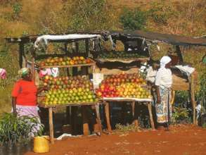 Fruit stall by local women of Kenya