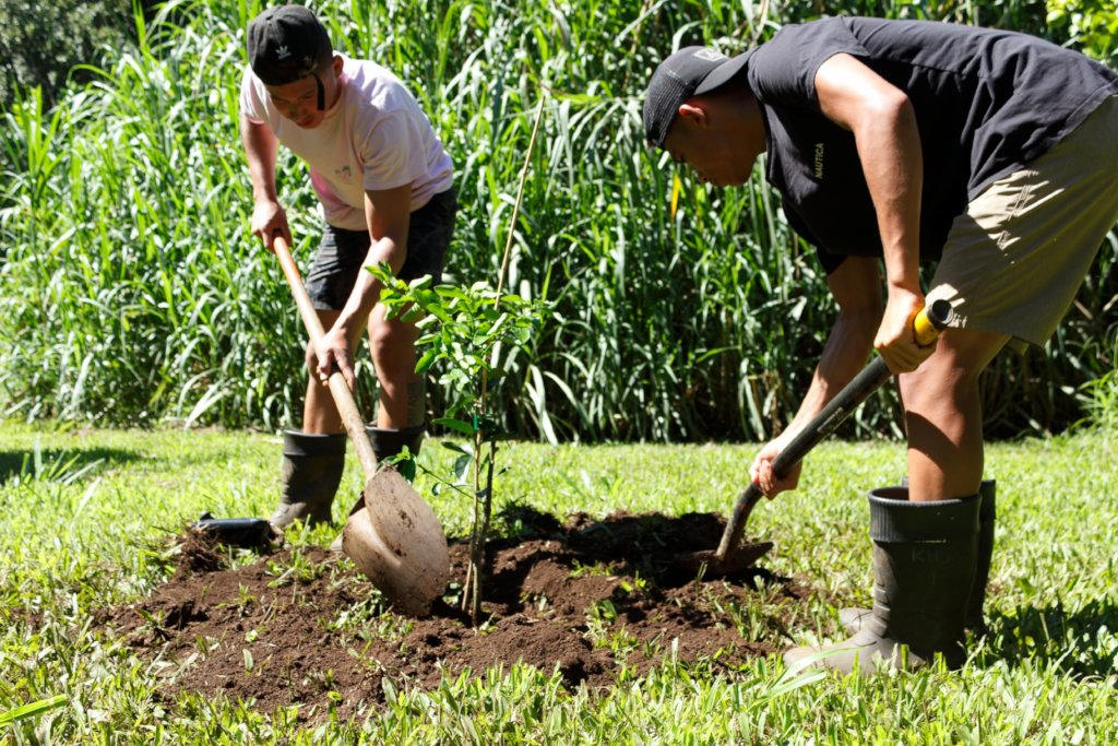 Help Hawai'i Regain Food Freedom!