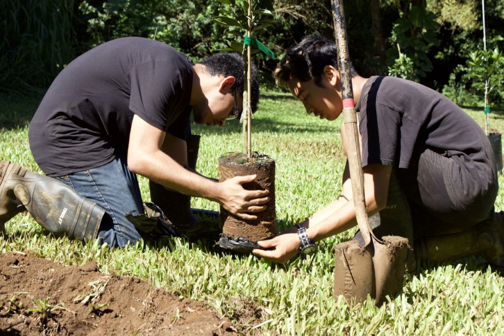 Help Hawai'i Regain Food Freedom!