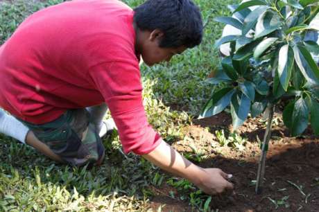 Help Hawai'i Regain Food Freedom!