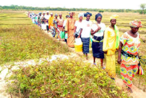 Gathering of priestesses in Oussouye