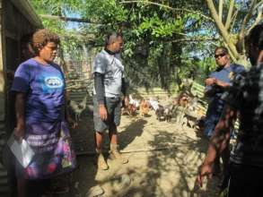 Training in simple chicken pen construction