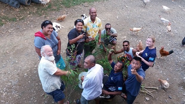 Happy Chickens for Fiji Cyclone Disaster Hit Areas