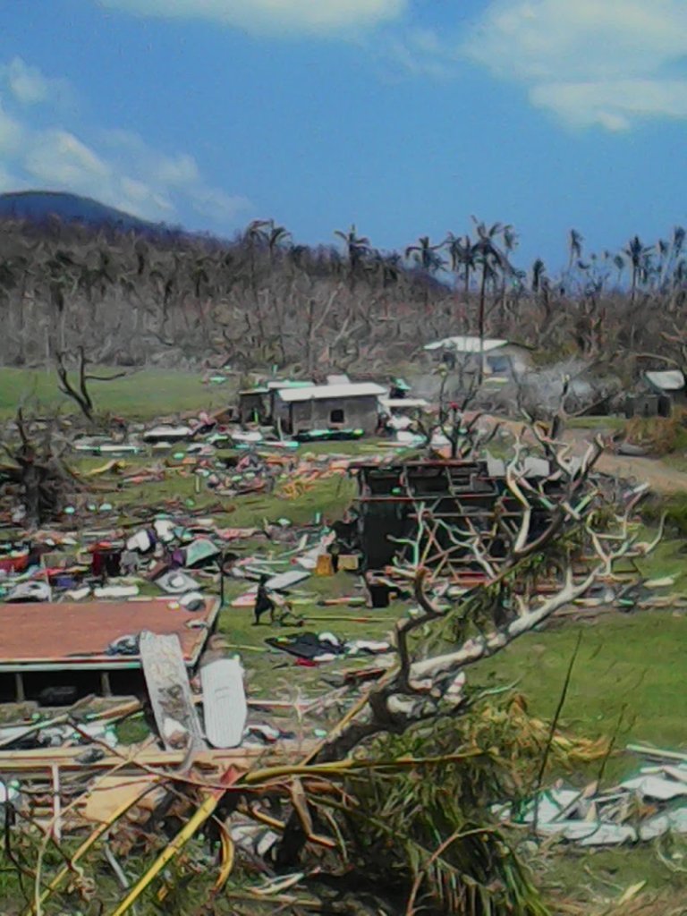 Happy Chickens for Fiji Cyclone Disaster Hit Areas